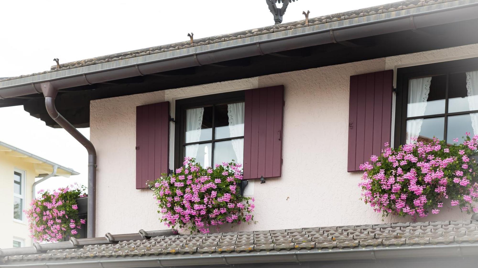Gaestehaus Sattlerhof Bernau am Chiemsee Eksteriør bilde